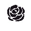 Dark purple rose